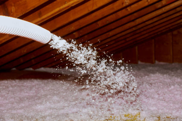 Best Energy Efficiency Insulation in Lakewood Clu, MI