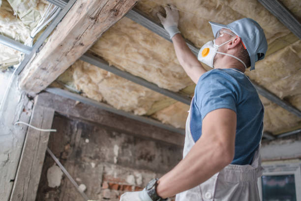 Types of Insulation We Offer in Lakewood Clu, MI