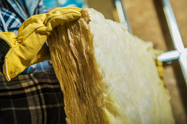Best Commercial Insulation in Lakewood Clu, MI