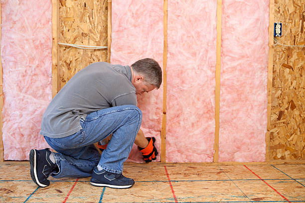Best Specialized Insulation Services in Lakewood Clu, MI