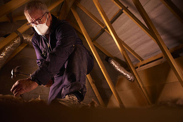 Best Blown-in Insulation in Lakewood Clu, MI